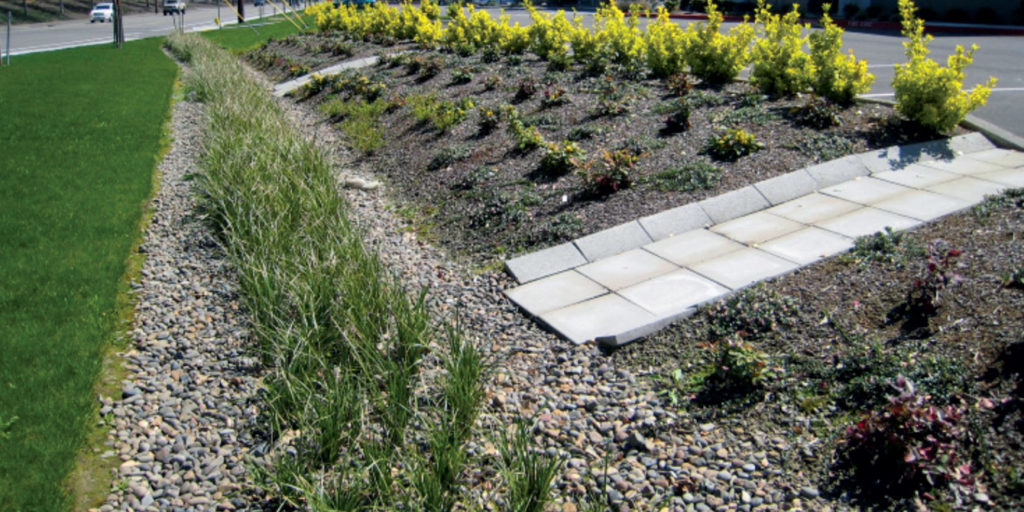 An example of a bioswale in a traditional landscape.