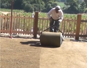 A lawn roller being used to compact GraniteCrete.